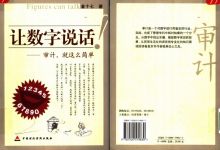 《让数字说话-审计就这么简单》又名《审计一家言》完整版 百度网盘下载